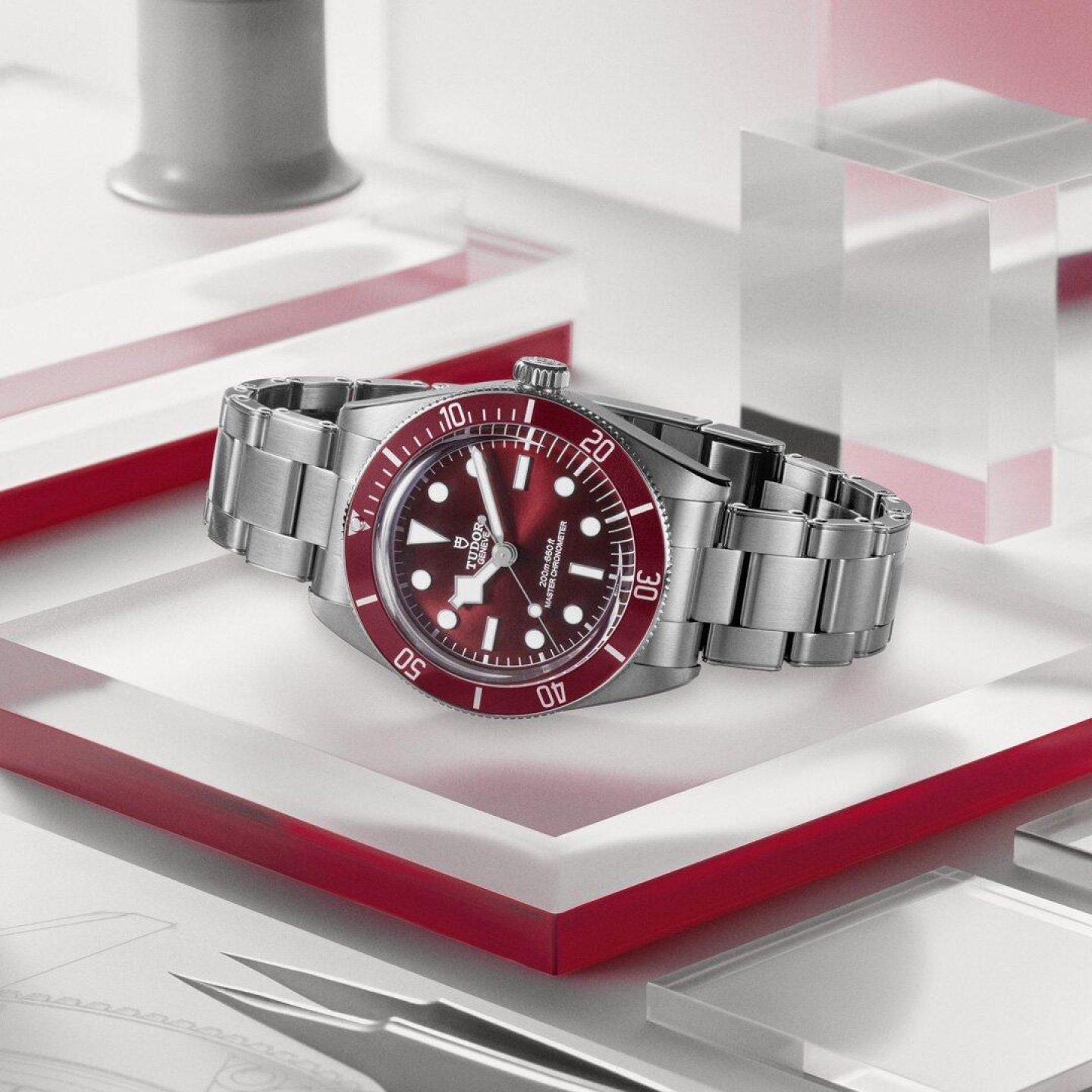 tudor shop 2025