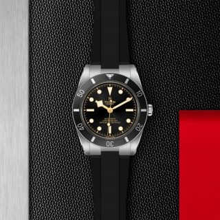 Tudor m79000n 0002