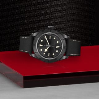 Tudor m79210cnu 0001 copia 2