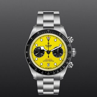 Tudor m79310n 0001