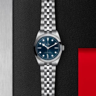 Tudor m79600 0002 copia 3