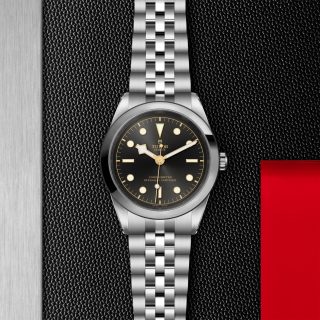 Tudor m79680 0001 copia 3
