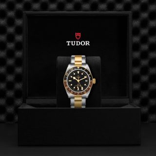Tudor m79833mn 0001 copia 2