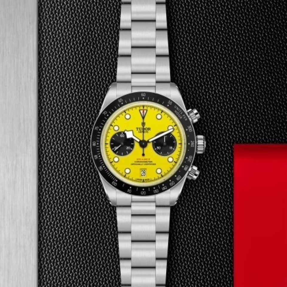 Tudor m79310n 0001