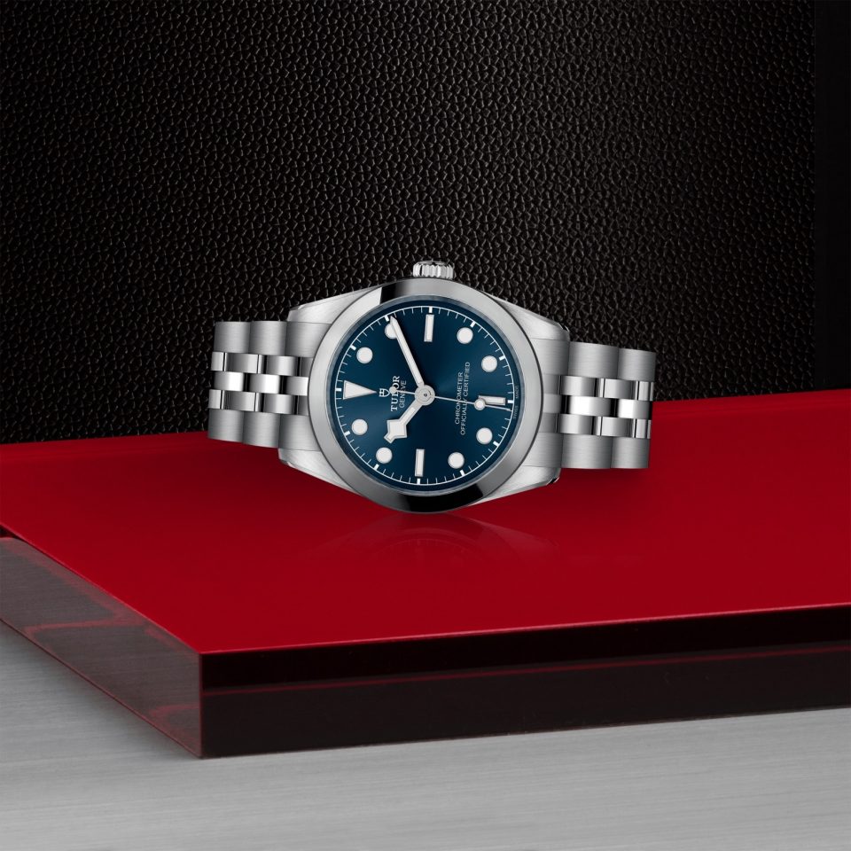 Tudor m79600 0002 copia 2