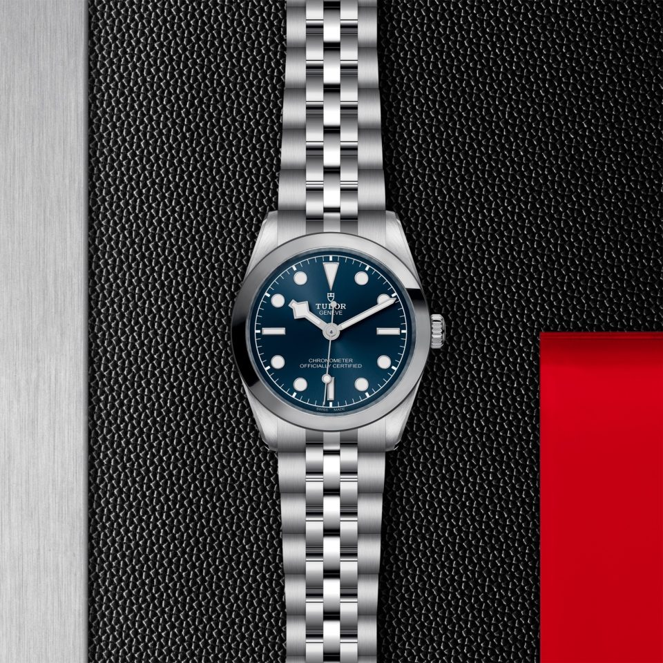 Tudor m79600 0002 copia 3