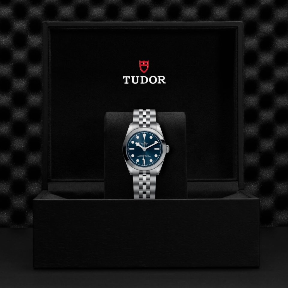 Tudor m79600 0002 copia