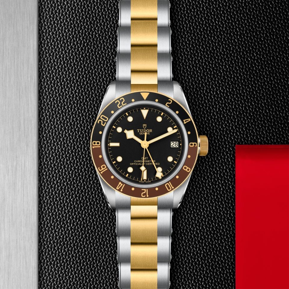 Tudor m79833mn 0001 copia 3