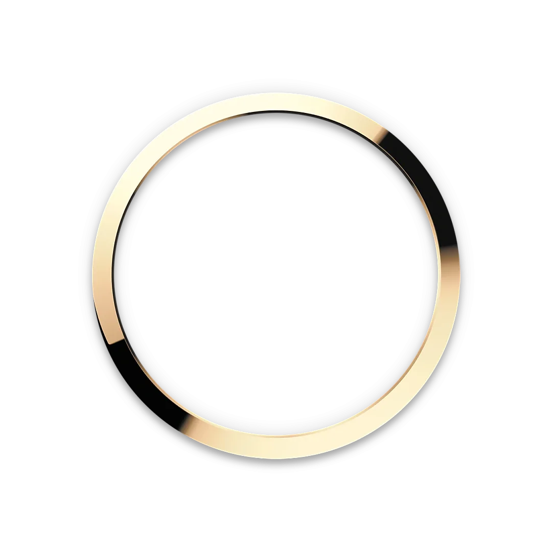 M124273 0001 bezel