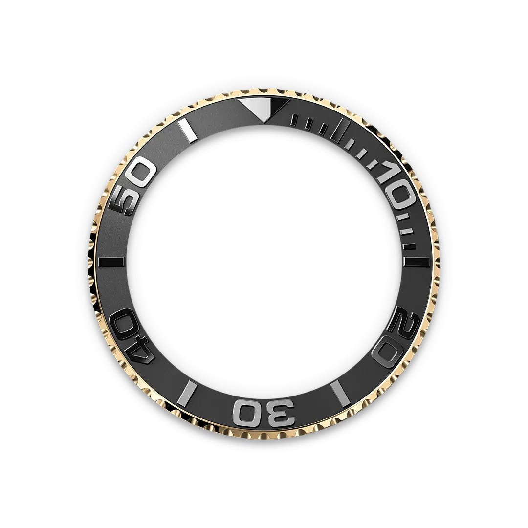 M226658 0001 bezel