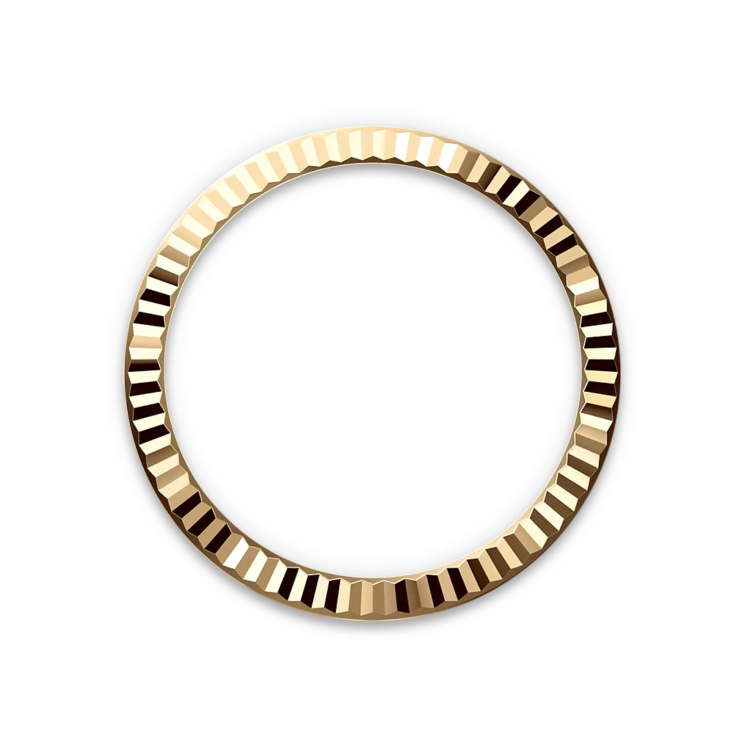 M279173 0007 bezel